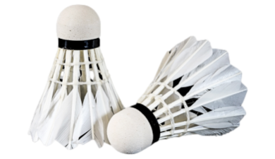 Tilbehør til Badminton
