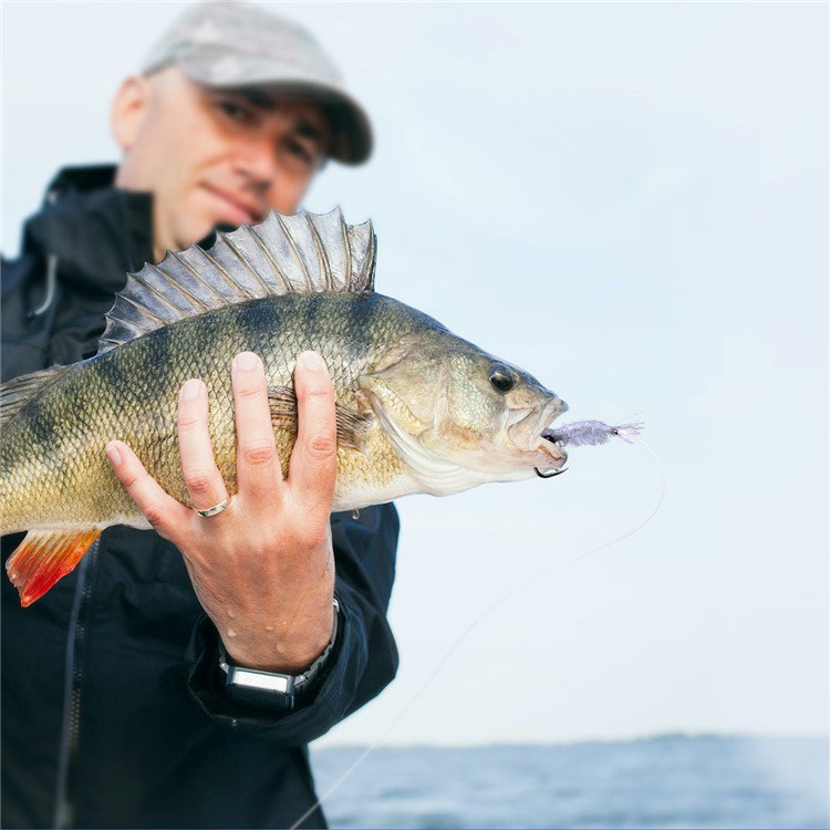 Fiskeflue fanget af fisk i mørke