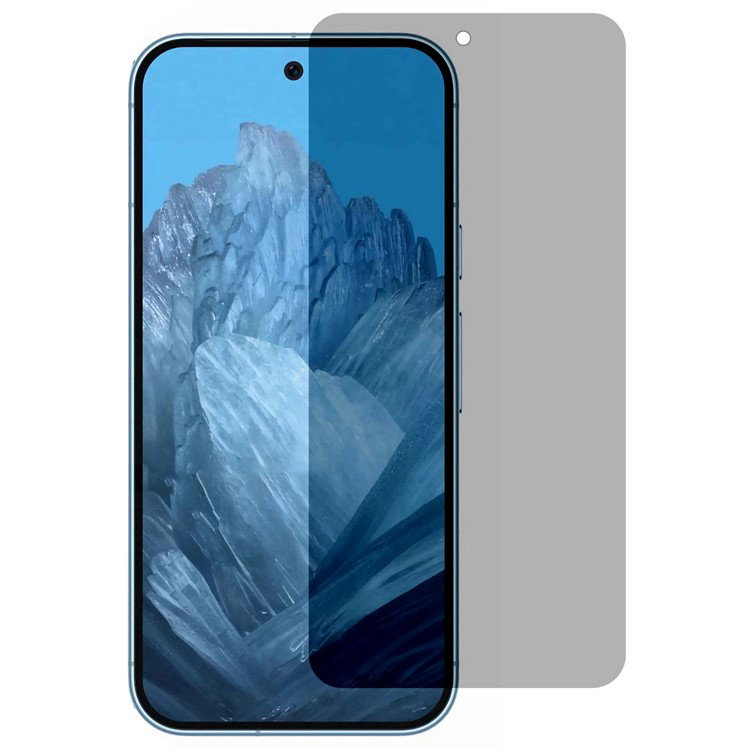 Google Pixel 9 Pro XL skærmbeskyttelse