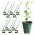 10-pak Plantestøtte / Plantepinde i Plast - 17 cm