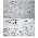 87 x 57cm Dobbeltsidet Foto Baggrund-Grå