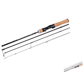 4-delt fiskestang i Carbon