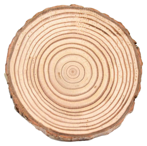 Bordskåner i Fyrretræ Ø 7-8 cm