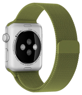 Mesh urlænke i rustfrit stål til Apple Watch 42 / 44 / 45mm - Grøn