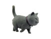 Grå