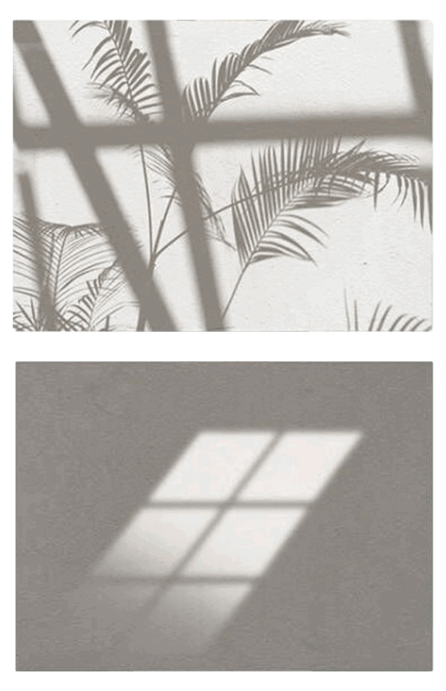 Dobbeltsidet Fotobaggrund med Motiv 87 x 57 cm