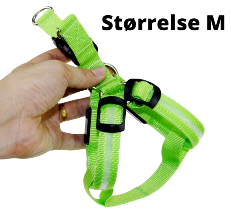Hundesele m. LED Lys-Medium